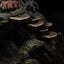 Predator: Badlands Art Scale Statue 1/10 Predator Dek & Thia 27 cm