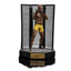 UFC Deluxe Art Scale Statue 1/10 Anderson "Spider" Silva - Signed Version 22 cm