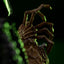 Alien Art Scale Statue 1/10 Alien Big Chap 24 cm
