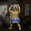 Ultra Street Fighter II: The Final Challengers Action Figure 1/12 E. Honda 16 cm