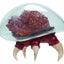 World of Nintendo Metroid Prime Actionfigure Metroid Ultraviolet Glow 15 cm