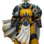Warhammer Imperial Fists Action Figure Librarian Consulwith Force Axe and Bolt Pistol 12 cm - Damaged packaging
