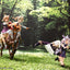 Arcanadea Plastic Model Kit GII 13 cm