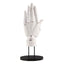 Takahiro Kagami PVC Artist Support Item Hand 1/1 Model/L White 21 cm