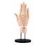 Takahiro Kagami PVC Artist Support Item Hand 1/1 Model/R Pale Orange 21 cm