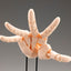 Takahiro Kagami PVC Artist Support Item Hand 1/1 Model/R Pale Orange 21 cm