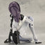 Megalomaria Unlimited Universe Plastic Model Kit Novice Reproduction 16 cm