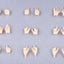 Megami Device M.S.G 09 Accessory Set 1/1 Hand Set Skin Color A