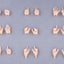 Megami Device M.S.G 09 Accessory Set 1/1 Hand Set Skin Color B