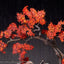 Sekiro: Shadows Die Twice PVC Statue 1/7 Wolf 42 cm