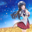 The Idolmaster Million Live! PVC Figure 1/8 Shizuka Mogami -The Animation- 23 cm