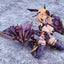 Bunny Suit Planning Plastic Model Kit PLAMAX BP-03 Sophia F. Shirring: Vampire Ver. 17 cm