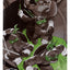 Teenage Mutant Ninja Turtles Page Punchers Action Figure Donatello (Black White & Green ) (Red Platinum Edition) 13 cm