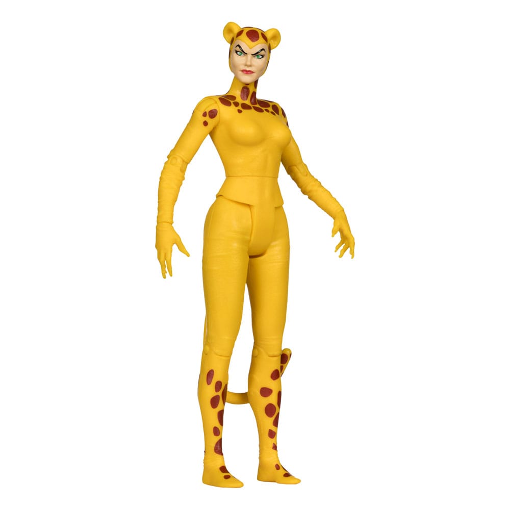DC Retro Action Figures 15 cm Wave 13 Super Friends Sortiment (6)