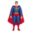 DC Retro Action Figures 15 cm Wave 13 Super Friends Sortiment (6)