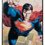 DC Multiverse Action Figure Superman (Rebirth) (Blister Card) 18 cm