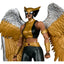 DC Multiverse McFarlane Collector Edition Action Figure Hawkgirl (Kendra Saunders) 28 cm