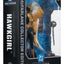 DC Multiverse McFarlane Collector Edition Action Figure Hawkgirl (Kendra Saunders) 28 cm