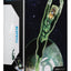 Green Lantern DC Multiverse Action Figure Medphyll 21 cm