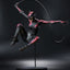 DC Designer Series Statue 1/6 Catwoman by Jock 33 cm