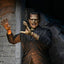 Universal Monsters Action Figure Ultimate Frankenstein's Monster (Color) 18 cm