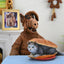 Alf Action Figure Ultimate Alf 15 cm