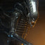 Alien 1/4 Action Figure Big Chap 56 cm