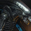 Alien 1/4 Action Figure Big Chap 56 cm