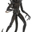 Aliens Ultimate Action Figure Warrior (1986) Brown 23 cm