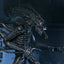 Aliens Ultimate Action Figure Warrior (1986) Xenomorph Black (40th Anniversary) 23 cm