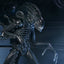 Aliens Ultimate Action Figure Warrior (1986) Xenomorph Black (40th Anniversary) 23 cm