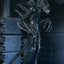 Aliens Ultimate Action Figure Warrior (1986) Xenomorph Black (40th Anniversary) 23 cm