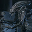Aliens Ultimate Action Figure Warrior (1986) Xenomorph Black (40th Anniversary) 23 cm