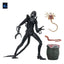 Aliens Ultimate Action Figure Warrior (1986) Xenomorph Black (40th Anniversary) 23 cm