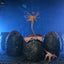 Aliens 6-Pack Accessory Pack Carton of Alien Eggs (40th Anniversary)