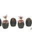 Aliens 6-Pack Accessory Pack Carton of Alien Eggs (40th Anniversary)