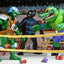 Teenage Mutant Ninja Turtles (Archie Comics) Action Figures 4-Pack Stump Wrestling Turtles 18 cm