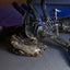 Alien: Romulus Action Figure Deluxe Suspended Lab Xenomorph XX121 18 cm - Damaged packaging