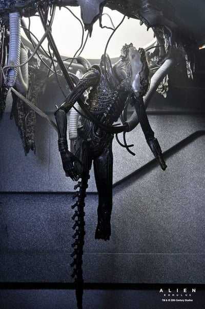 Alien: Romulus Action Figure Deluxe Suspended Lab Xenomorph XX121 18 cm - Damaged packaging