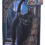 Lisa Parker Purse A Brush With Magick Embossed 19 cm