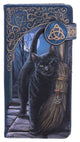 Lisa Parker Purse A Brush With Magick Embossed 19 cm