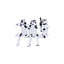 Stormtrooper Figures Three Wise Sitting Stormtroopers 11 cm