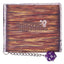 Dungeons & Dragons Wallet Mimic