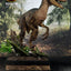 Jurassic Park Statue 1/6 Velociraptor 41 cm