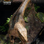 Jurassic Park Statue 1/6 Velociraptor 41 cm