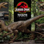 Jurassic Park Legacy Museum Collection Statue 1/6 Velociraptor Attack 38 cm