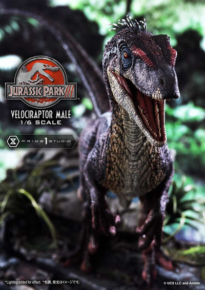 Jurassic Park III Legacy Museum Collection Statue 1/6 Velociraptor Male 40 cm