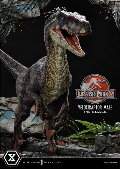 Jurassic Park III Legacy Museum Collection Statue 1/6 Velociraptor Male 40 cm