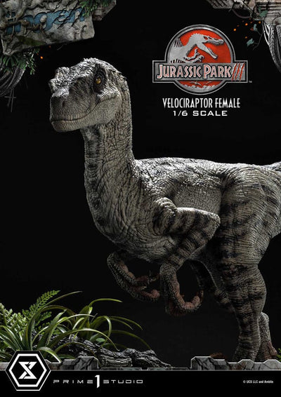 Jurassic Park III Legacy Museum Collection Statue 1/6 Velociraptor Female Bonus Version 44 cm