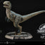 Jurassic World: Fallen Kingdom Prime Collectibles Statue 1/2 Baby Blue 34 cm